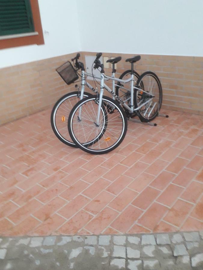 Alojamento Local Patudos, Suite Com Terraco Privado Tavira Kültér fotó