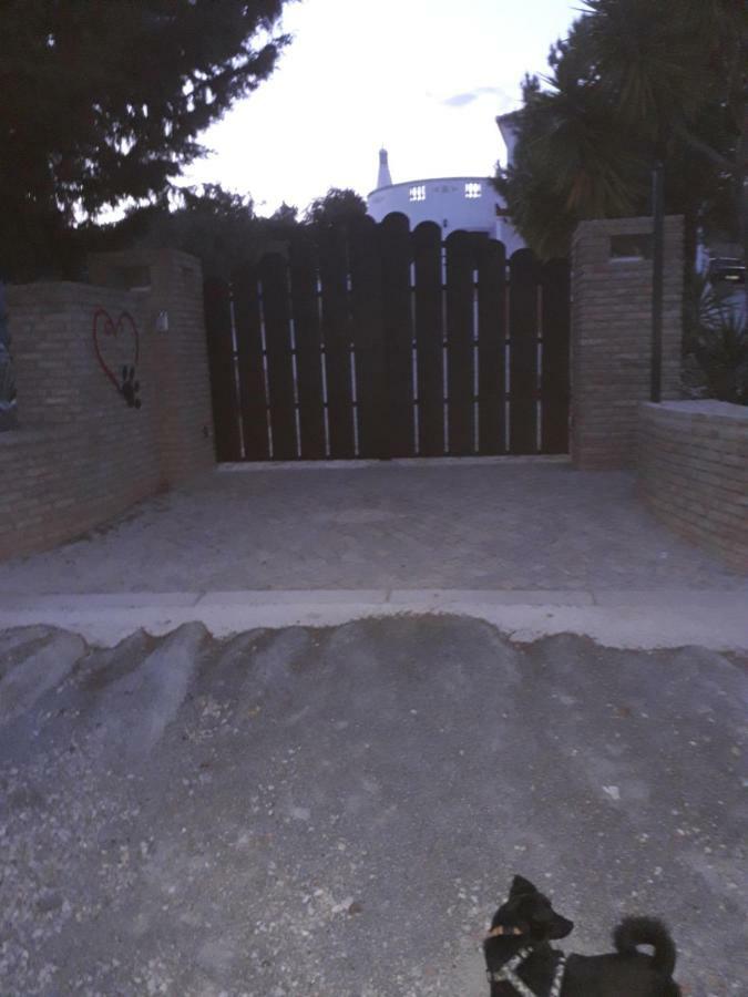 Alojamento Local Patudos, Suite Com Terraco Privado Tavira Kültér fotó